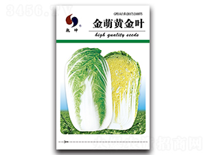 �����S���~-�ײ˷N��-Ǭ���N�I