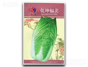 Ǭ������-�ײ˷N��-Ǭ���N�I