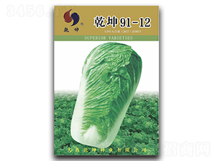 Ǭ��91-12-�ײ˷N��-Ǭ���N�I