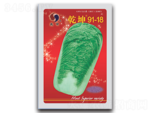 Ǭ��91-18-�ײ˷N��-Ǭ���N�I