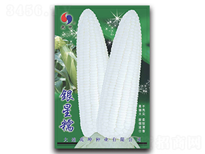 �y��Ŵ-���׷N��-Ǭ���N�I