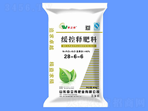 ����ጷ���28-6-6-������ 