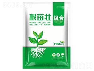 ���������������ײ�-�����-ʢ�ļ�