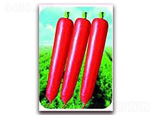 ��t3̖���}��-���}���N��-��˹��