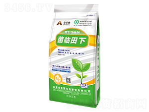 ΢�������-���R����-������