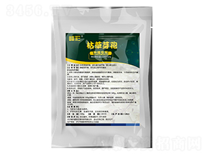 �ݲ�ѿ�ߗU��-�i������