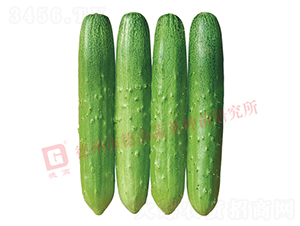 �¸�1913-�S�ϷN��-�¸�