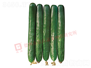 �¸��A��-�S�ϷN��-�¸�