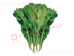 R460-�}���N��-�¸�