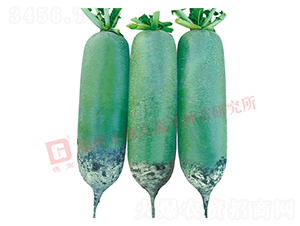 R16-ˮ���}���N��-�¸�