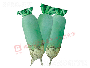 ��Ȫ-ˮ���}���N��-�¸�