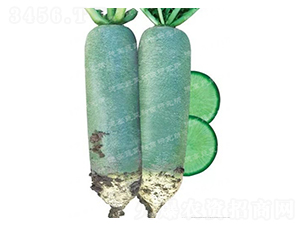 ����-ˮ���}���N��-�¸�