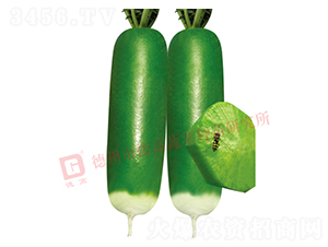 ���}��-ˮ���}���N��-�¸�