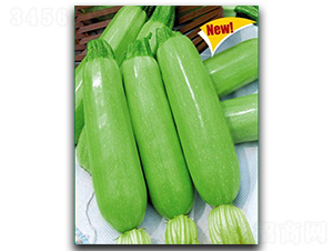 �~�ͺ�-�����J�N��