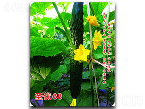 ʥ��68-�S�ϷN��