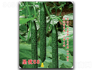 ʥ��58-�S�ϷN��