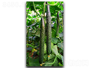 �ۃ�(y��u)233-�S�ϷN��