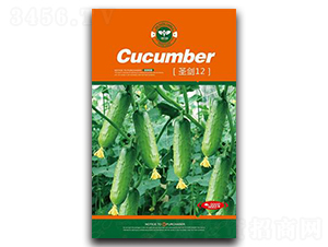 ʥ��12-�S�ϷN��-�Έ@����