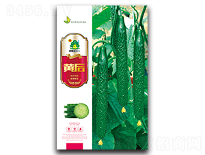 �S��-�S�ϷN��-�Έ@����