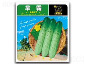 ����-�S�ϷN��-�Έ@����