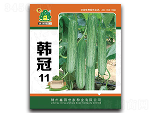 �n��11-�S�ϷN��-�Έ@����