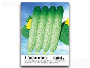 �Ϲϰ�-�S�ϷN��-�Έ@����