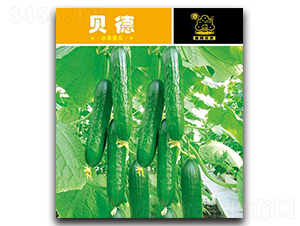 ؐ��-�S�ϷN��-�Έ@����