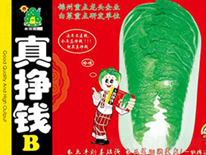 真掙錢B-白菜種子-鑫園世家