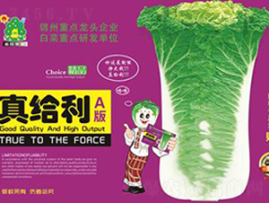 真給利A-白菜種子-鑫園世家