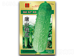 ��ɽ���-�S�ϷN��-���d�N�I