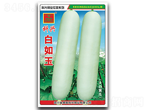 ������-�S�ϷN��-���d�N�I