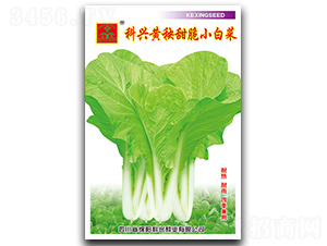 �S�����С�ײ�-�~�˷N��-���d�N�I(y��)