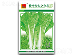 �S��С�ײ�-�~�˷N��-���d�N�I(y��)