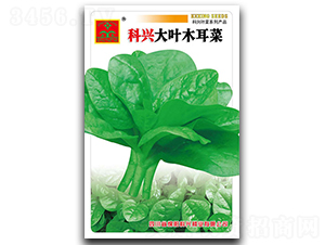 ���~ľ����-�~�˷N��-���d�N�I(y��)