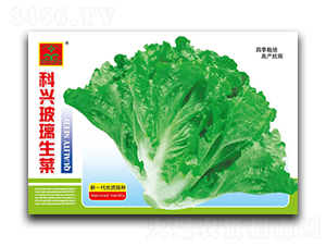 ���d��������-�~�˷N��-���d�N�I(y��)