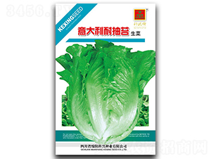 ������ͳ�̦����-�~�˷N��-���d�N�I(y��)