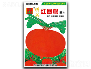 �t�A���}��-�}���N��-���d�N�I(y��)