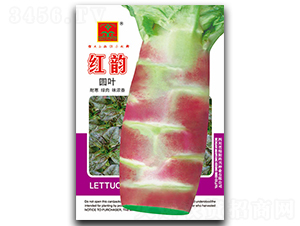 �t�-�n�S�N��-���d�N�I