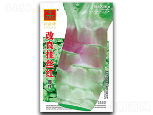 ������z�t-�n�S�N��-���d�N�I