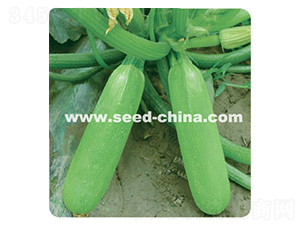 �G����-�����J�N��-���·N�I