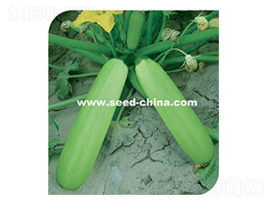 �̹�-�����J�N��-���·N�I