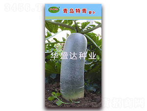 ���u����-�}���N��-�Aʢ�_