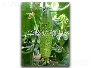 ʢ�_908-�S�ϷN��-�Aʢ�_