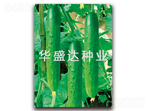 ���﹝��-�S�ϷN��-�Aʢ�_