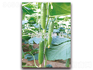 ʢ�_103-�S�ϷN��-�Aʢ�_