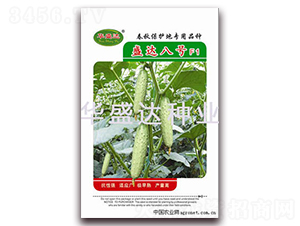 ʢ�_(d��)��̖(h��o)F1-�S�ϷN��-�Aʢ�_(d��)