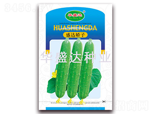 ʢ�_����-�S�ϷN��-�Aʢ�_