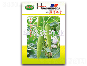 F1ʢ�_(d��)��̖-�S�ϷN��-�Aʢ�_(d��)