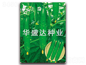 ʢ�_3̖-�S�ϷN��-�Aʢ�_