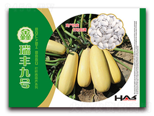 �����S��̖-���������J�N��-�β���